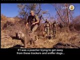 Drones against Rhino poaching in South Africa