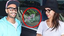 Ranveer Surprises Deepika With Flowers At Airport