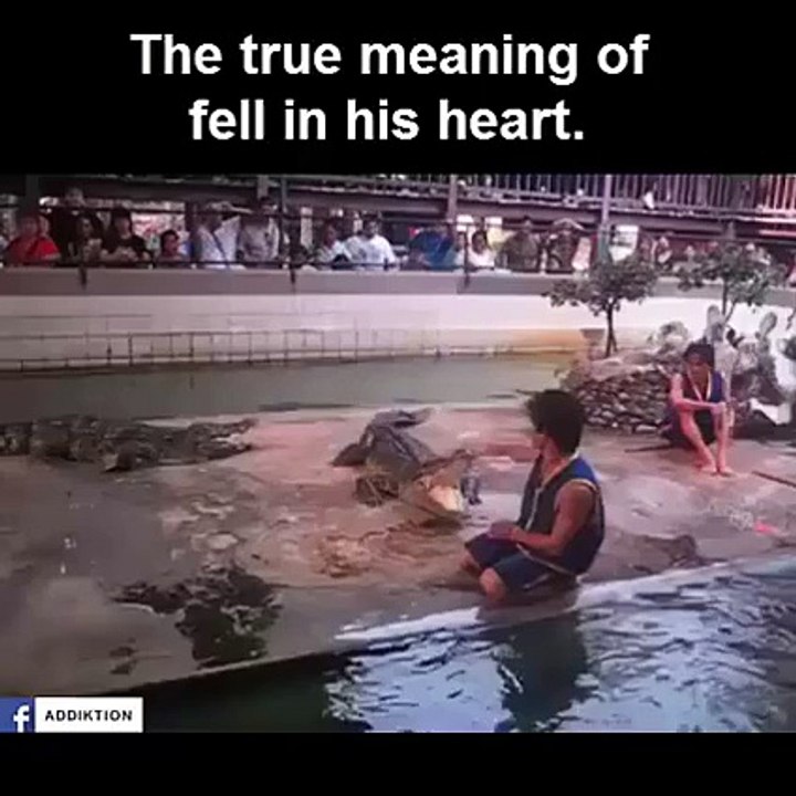 Funniest Slip and Fall