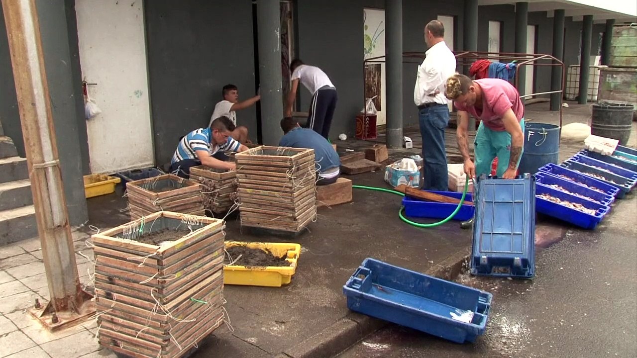 Tradition und last: fischer auf den azoren