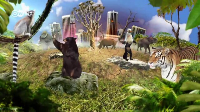 Namibia: Making way for elephants | Global 3000