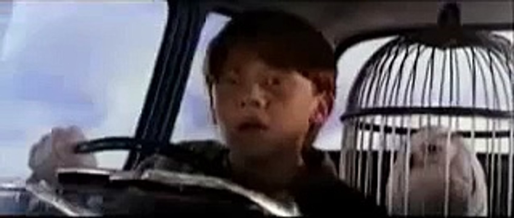 Nido del Cuculo: Harry Potter