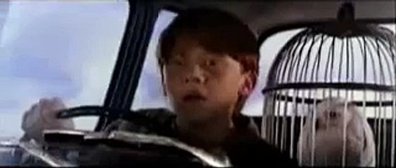 Nido del Cuculo: Harry Potter