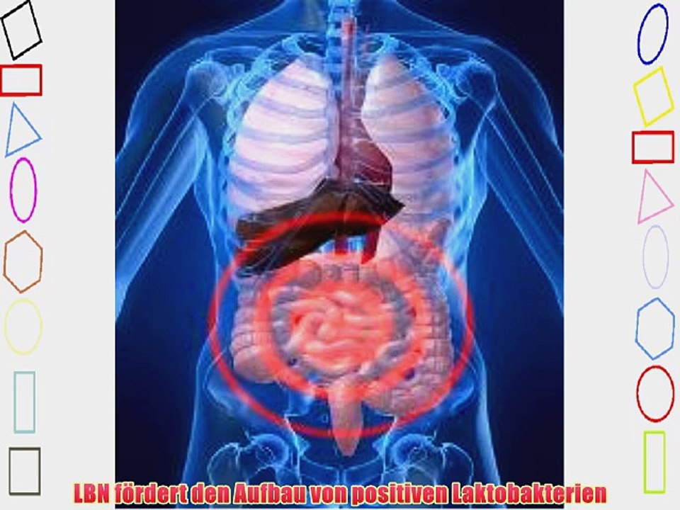 Darmreinigung nach Robert Gray Laktobakteriennahrung (LBN) Kr?utermischung zum Aufbau der Darmflora