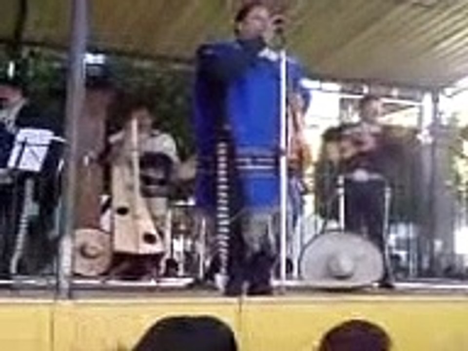Mariachi américa el cascabel