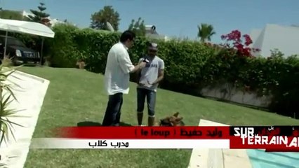 dressage de chien en tunisie   (sur terrain Walid leloup )