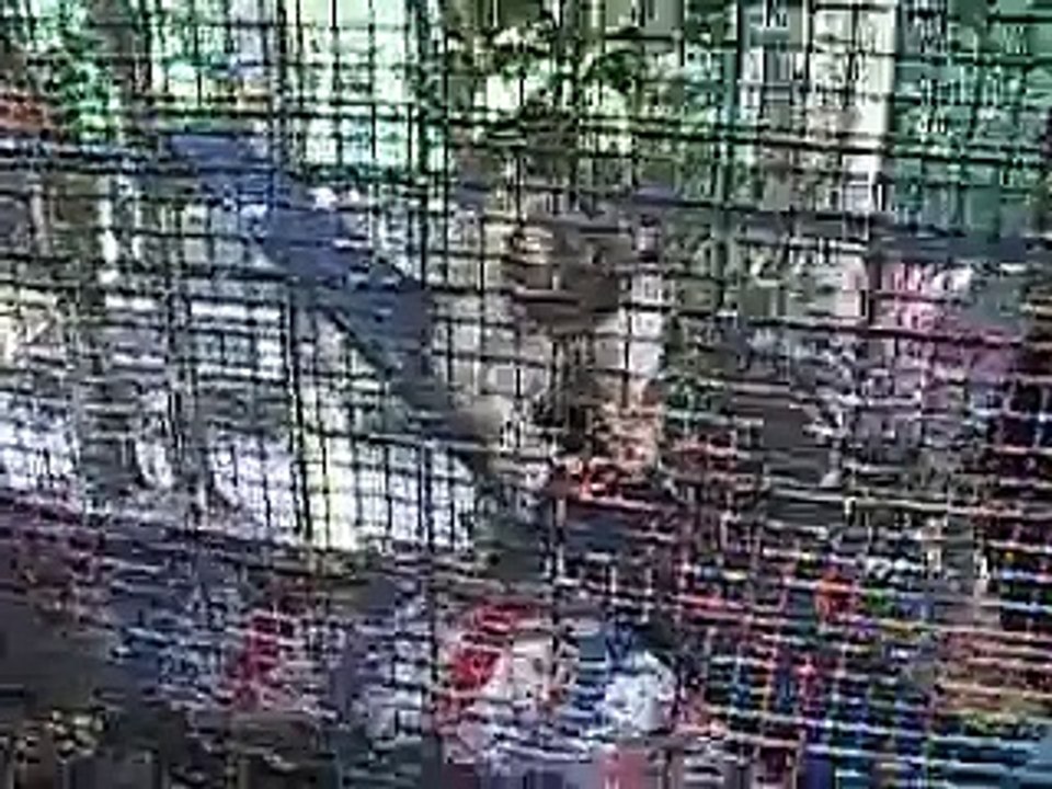 Monkey Eating Chilli