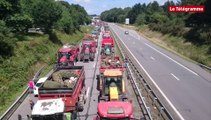 RN165. 200 tracteurs bloquent les deux voies de circulation à Gourvily