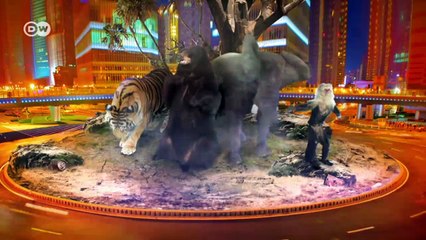 For the love of elephants | Global Ideas