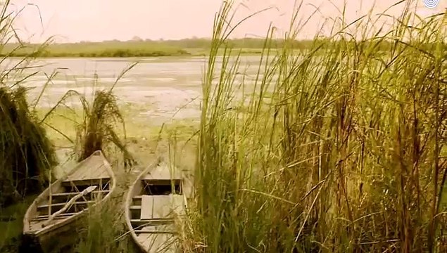 Champayi Rang Yaar Aa Jaye-(Janisaar) HD Video Song 2015-\\\\\\\\\\\\\\\\\\\\\\\\\\\\