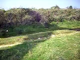 Shadow Flicker and turbine noise at Delabole wind farm in Cornwall UK