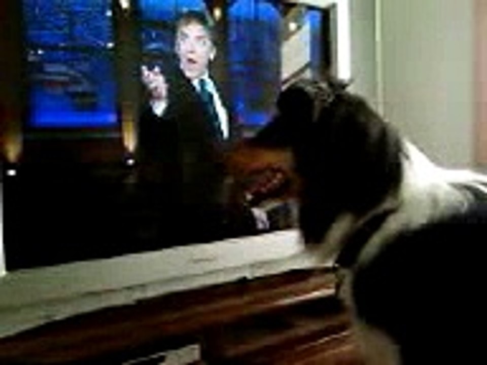 Craig Ferguson and Doogie