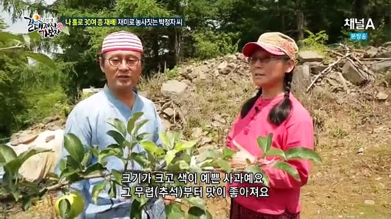 갈데까지 가보자.E136.150721.