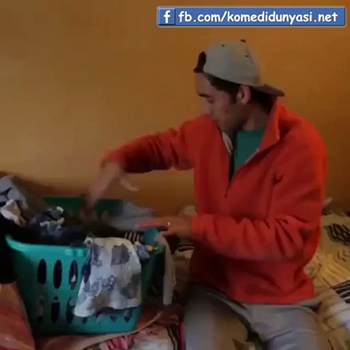 Tişört, kedi oldu