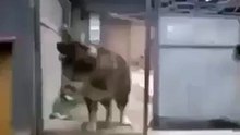 !!!!!!!!!!