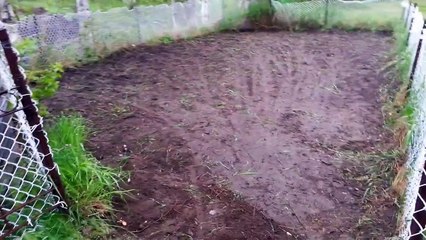 Comment créer son premier jardin ?