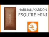 Harman Kardon Esquire Mini - колонка и аксессуар. Полный обзор