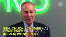 Chuck Schumer & Amy Schumer are Related