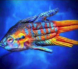 Hands shapes so amazing 2016