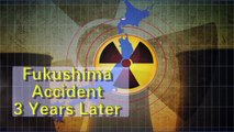 Japan's Nuclear Nightmare: Third Anniversary of the Fukushima Disaster