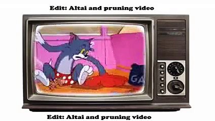 Tom And Jerry Down and Outing 1961 Best Cartoons