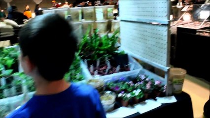 Nashville Tennessee Repticon