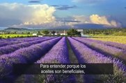 dōTERRA Video de Introducción. Títulos en Español