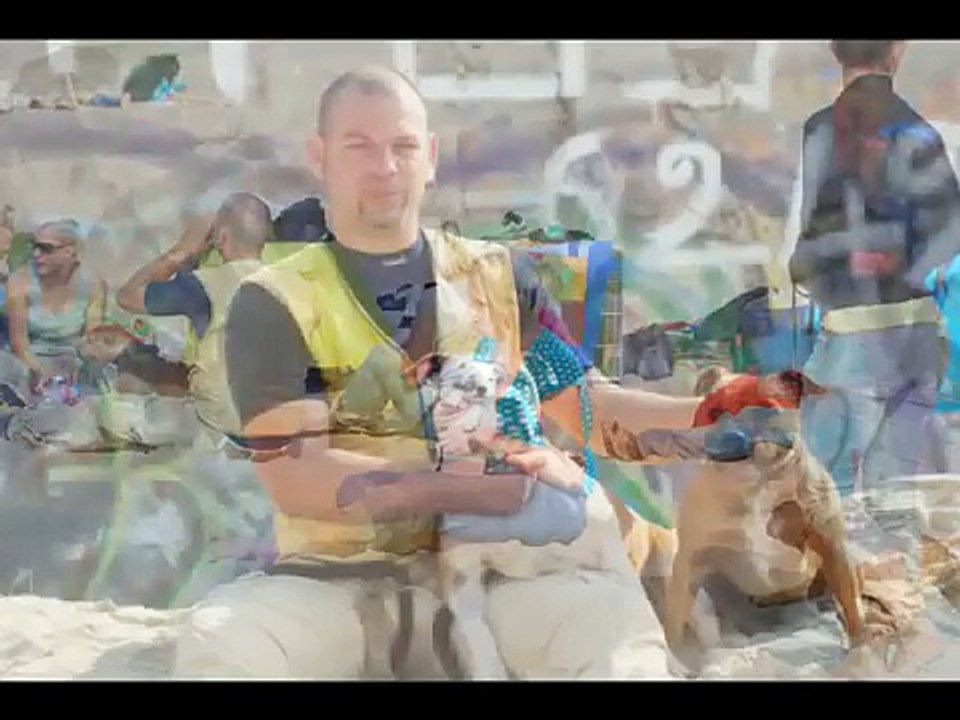 Staffordshire Bull Terrier Sporting Club @ Touquet (SBTSC)