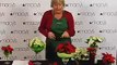 Decorating with Poinsettias with Julie