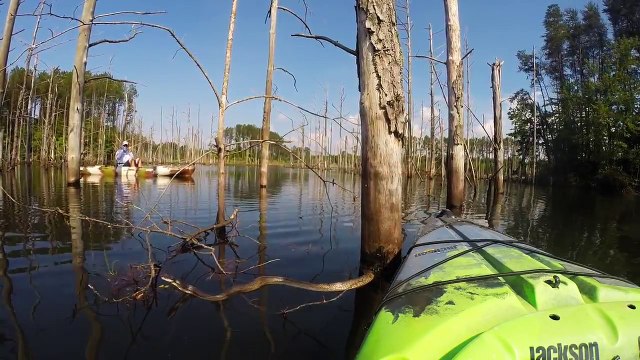 Slithery Rat Snake Climbs Inside a Kayak