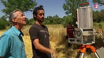 Agroforesterie, ou comment allier le rendement agricole au respect de la nature ?