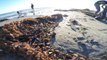 Sea Shepherd California Beach Guardians. Beach Cleanup Long Beach, California September 6th, 2014