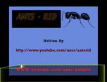 how to get rid of carpenter ants in the house and garden naturally