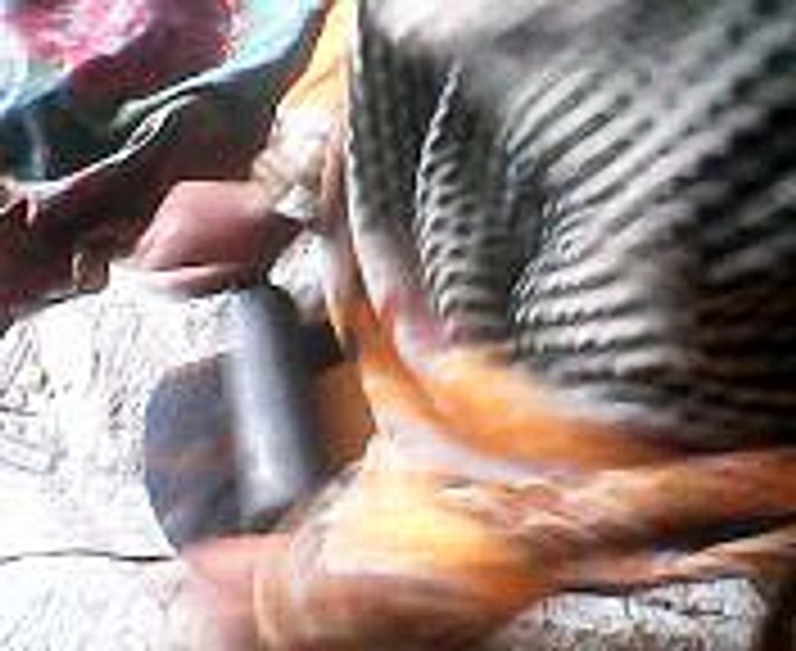 How can Pake Samosa with Tamato