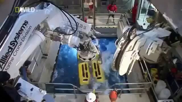 THE DEEP OCEAN Animals Wildlife Nature Documentary