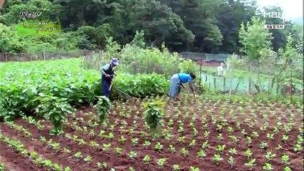 휴먼다큐 사노라면.E180.150721.