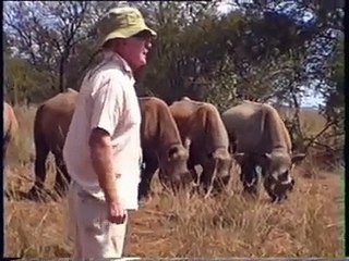 Zimbabwe in the 1990s: A Decade of Change