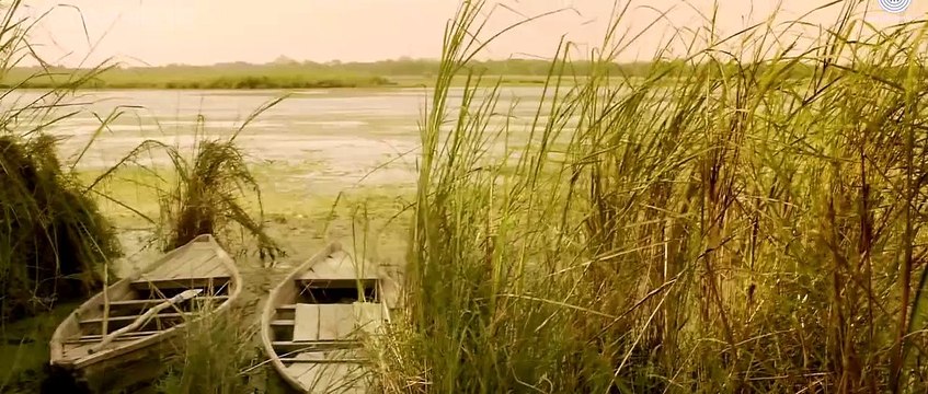 Champayi Rang Yaar Aa Jaye - Janisaar - Full HD 2015