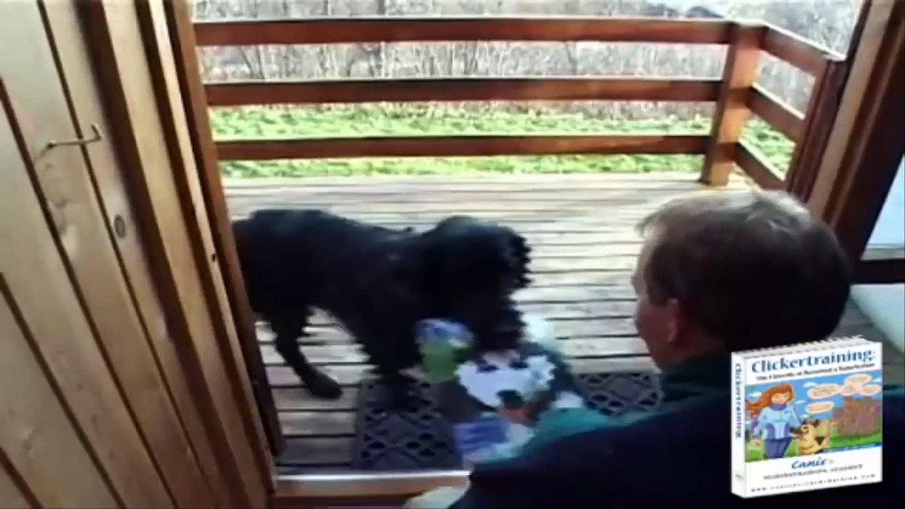 Basic Clicker Training For Dogs-Teach your dog 8 fun tricks using clicker training