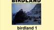 BIRDLAND - Birdland I (1980)
