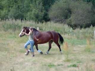 Ellipse et moi(défoulage!)