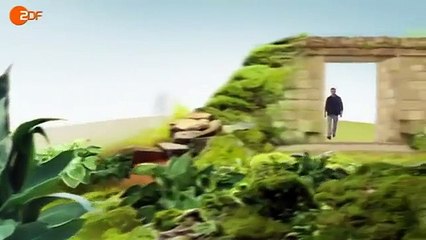 Terra X - Chile-Land der Extreme