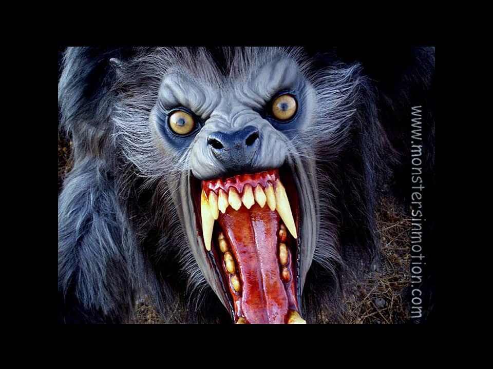 Hombres lobo (Loquendo)
