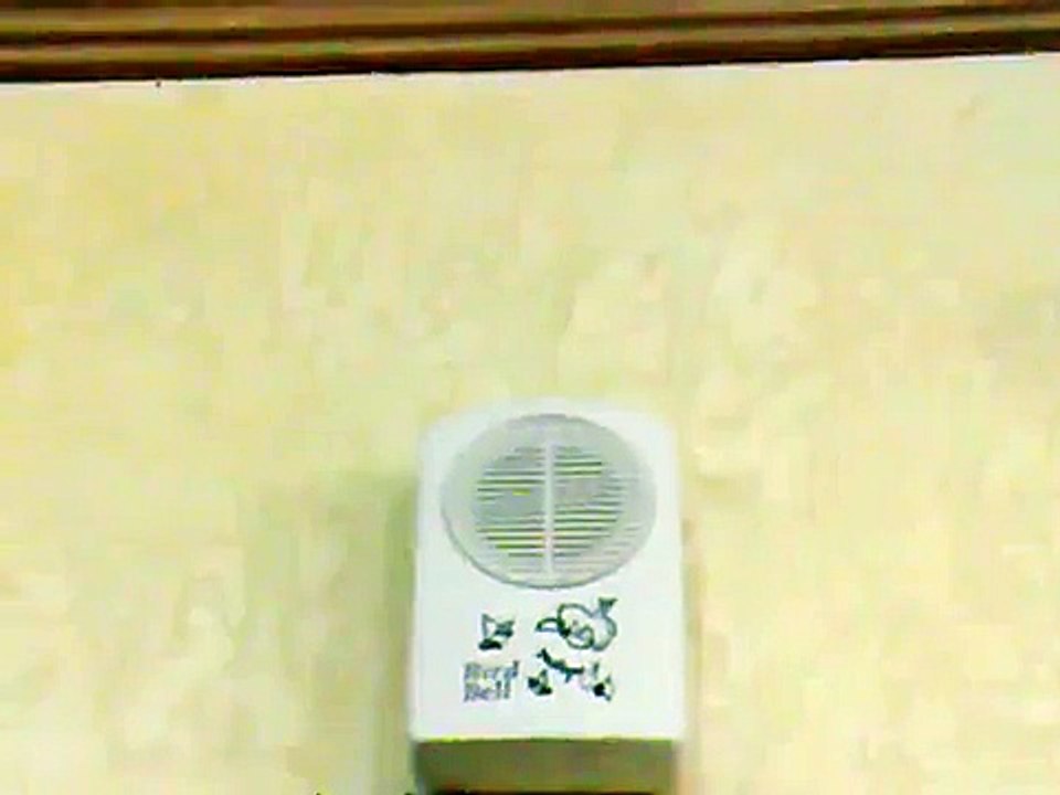 كاسكو يقلد نغمة الجرس