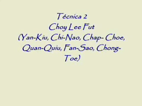 Choy Lee Fut Ching Jong Tecnica 2