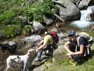 Lagos de Els Engorgs. Senderismo con perros. Pirineo Catalán