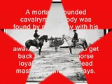 Horse Slaughter: Our Forgotten Veterans Deserve Better