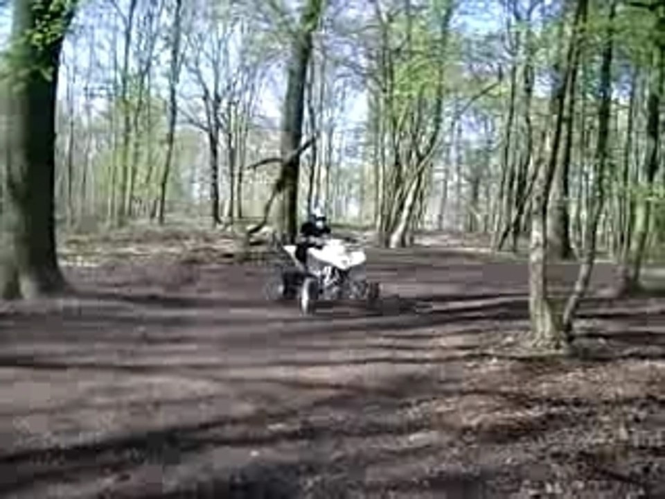 Show Davidos