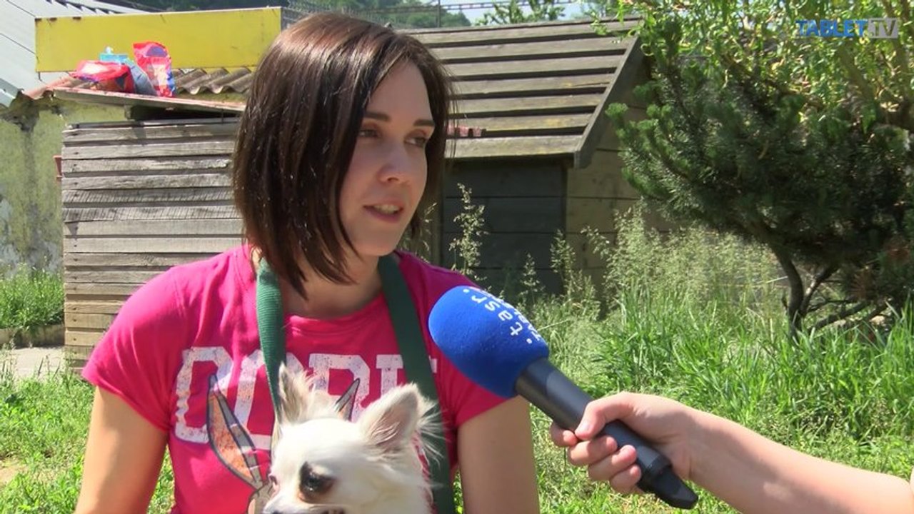 Rukami im prejdú desiatky psov, ich osudy trhajú srdce