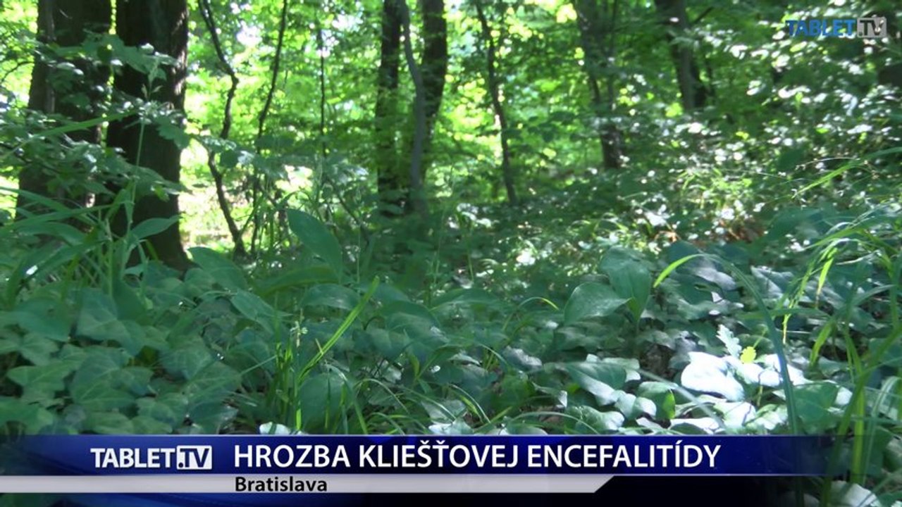 Kliešte útočia, hrozí nám kliešťová encefalitída